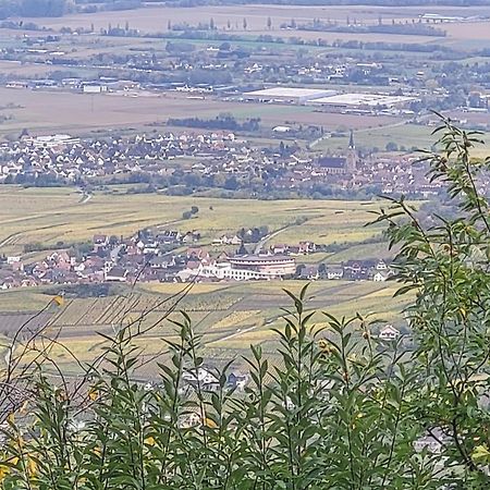 Sur La Route Du Vin Villa Rorschwihr Dış mekan fotoğraf